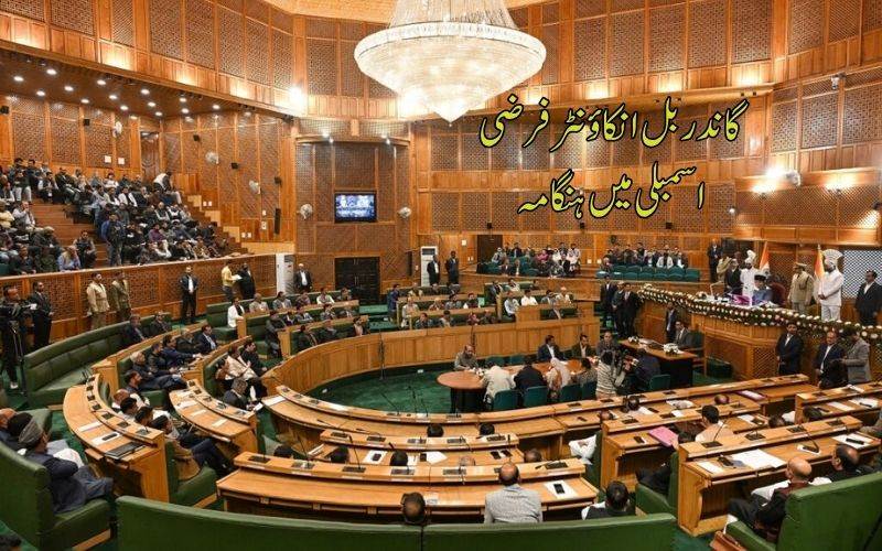 گاندربل انکاؤنٹر پر جموں وکشمیر اسمبلی میں ہنگامہ،عدالتی جانچ کی مانگ